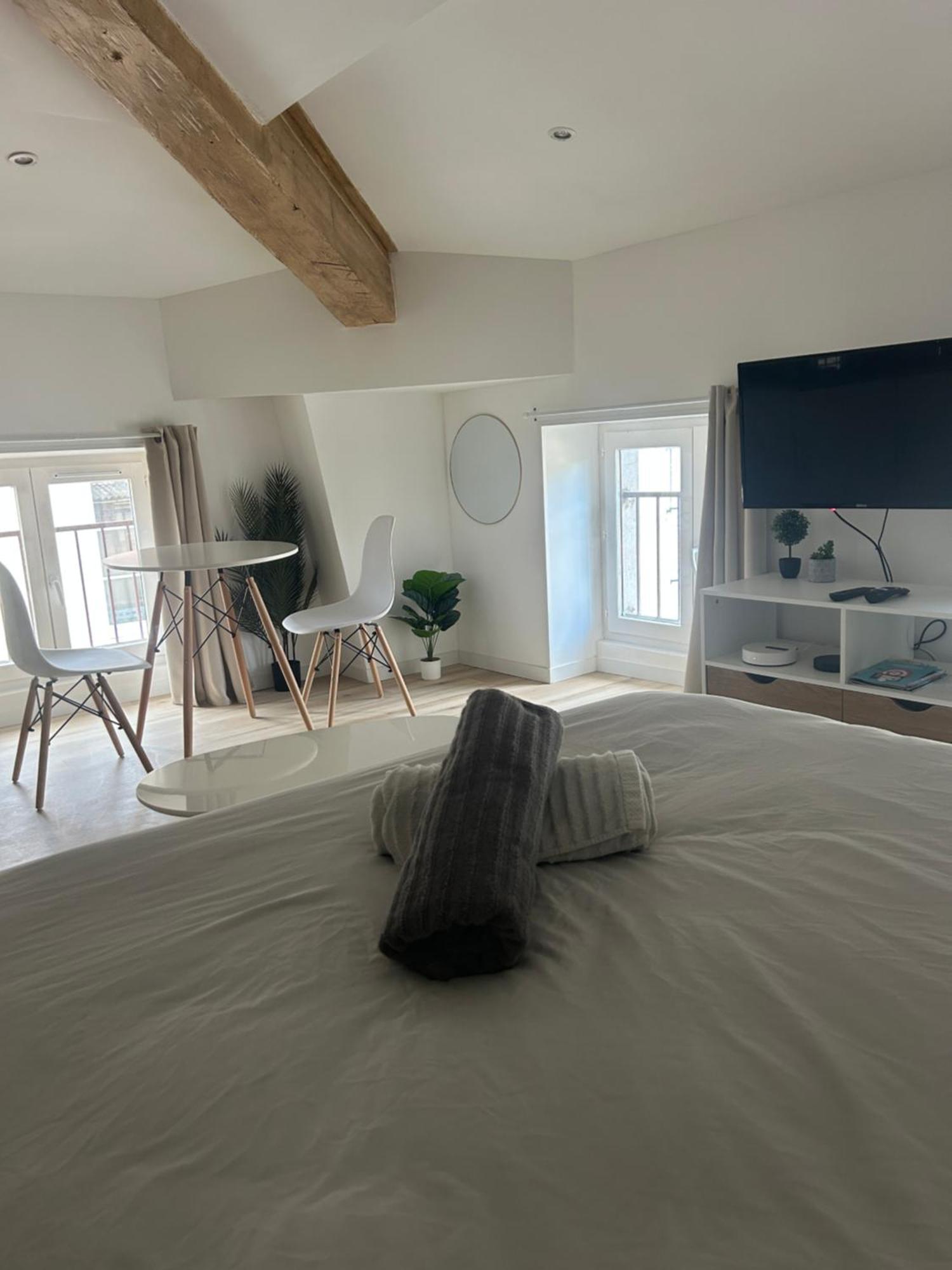 Apartment En Centre Avec Vue Rhone